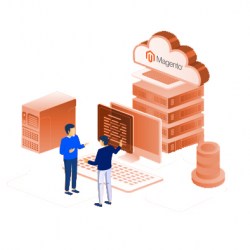 Magento hosting